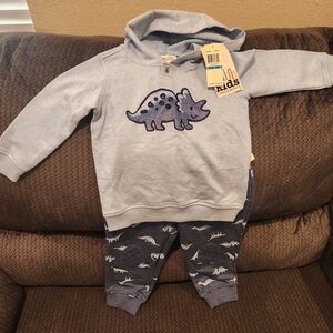 Gray Dinosaur Hoodie and Pants Set